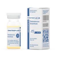Enantato de testosterona Somatrop-Lab [250 mg/ml]